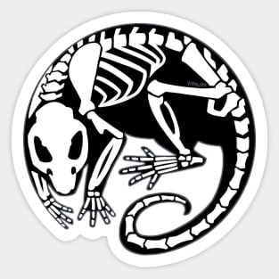 Skelly Rat Sticker